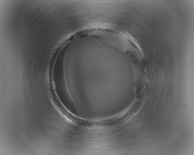 X0000075900581200609291734