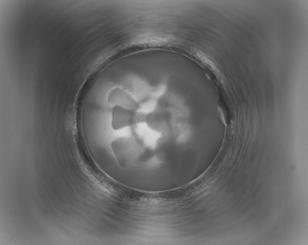 X0000075900582200609291734