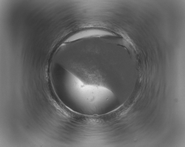 X0000075900585200609291734