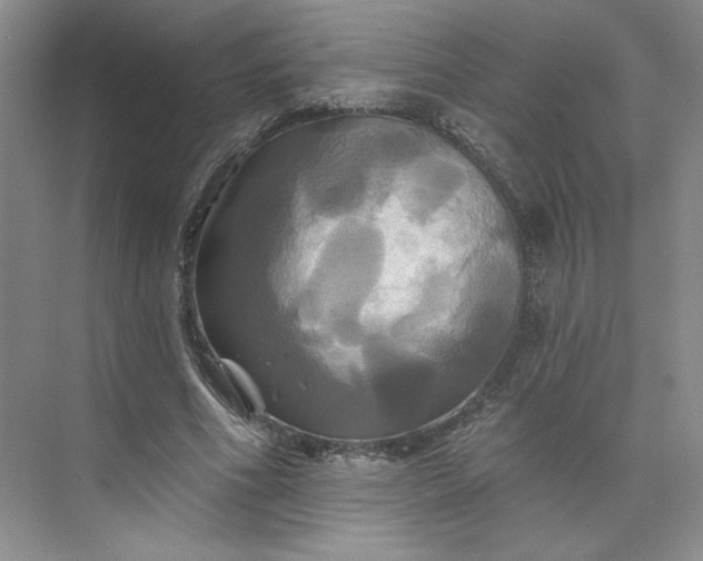 X0000075900586200609291734