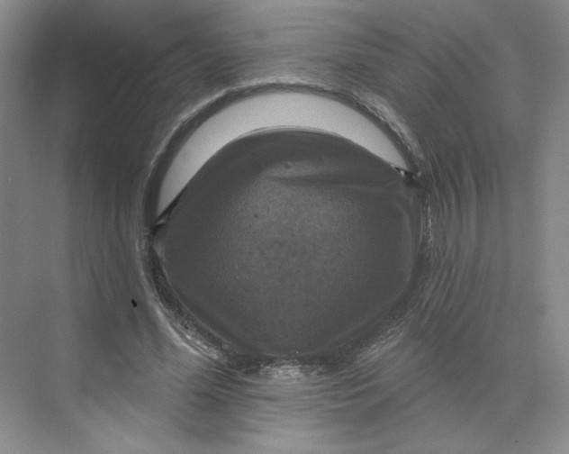 X0000075900588200609291734