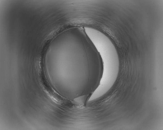 X0000075900590200609291734