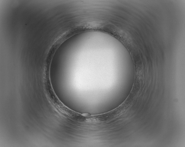 X0000075900591200609291734