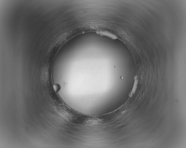 X0000075900595200609291734