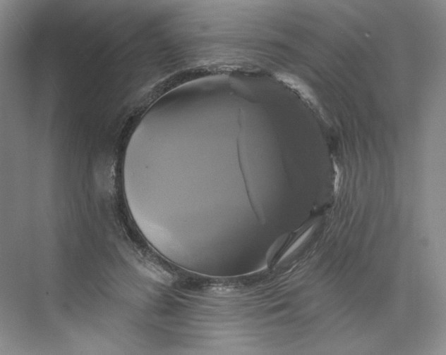 X0000075900596200609291734