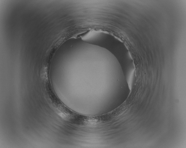 X0000075900598200609291734