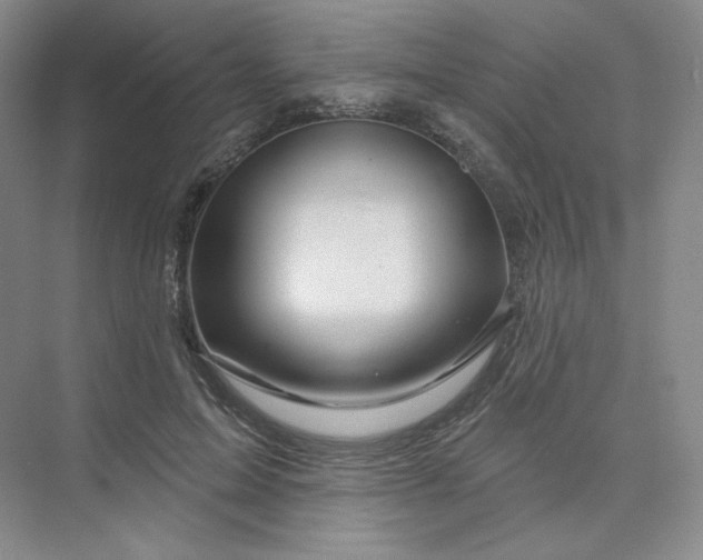 X0000075900599200609291734