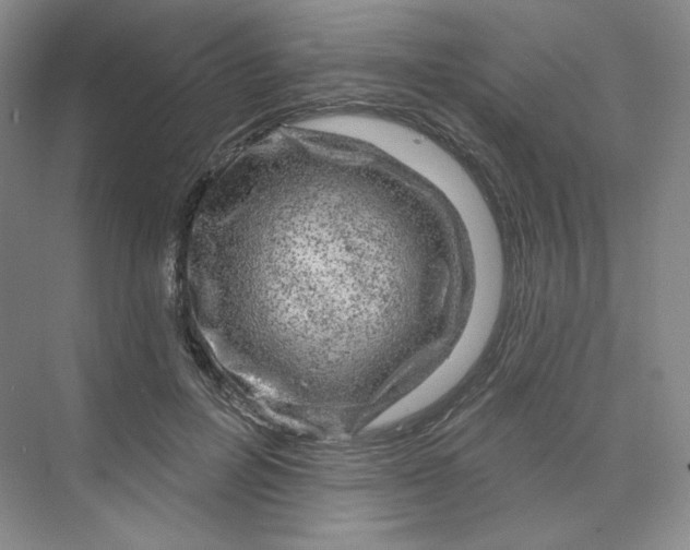 X0000075900600200609291734