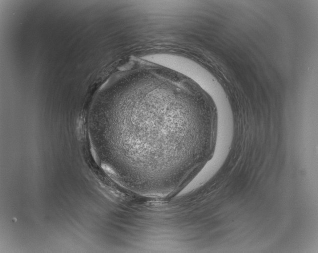 X0000075900601200609291734