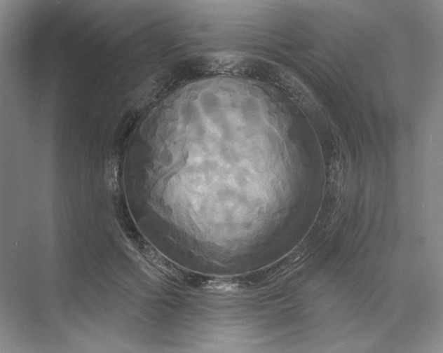 X0000075900602200609291734