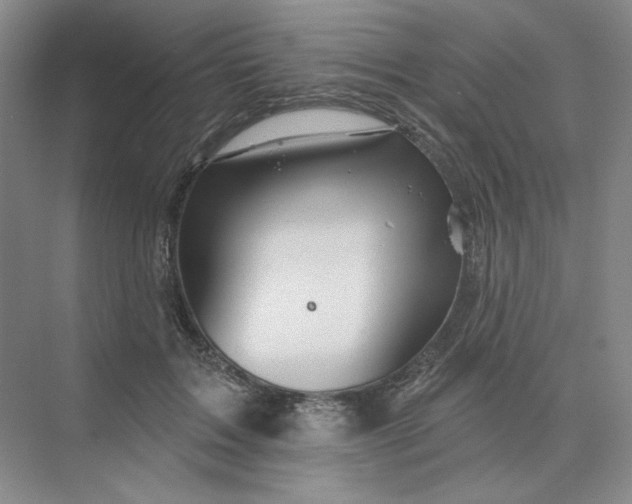 X0000075900603200609291734