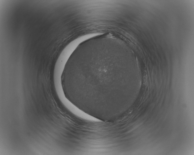 X0000075900604200609291734