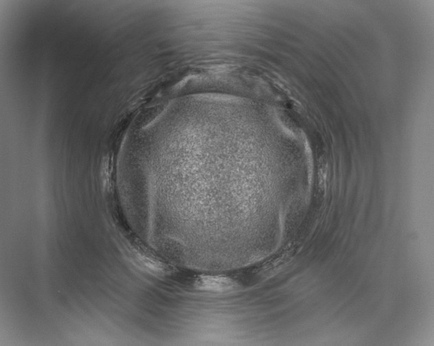 X0000075900605200609291734