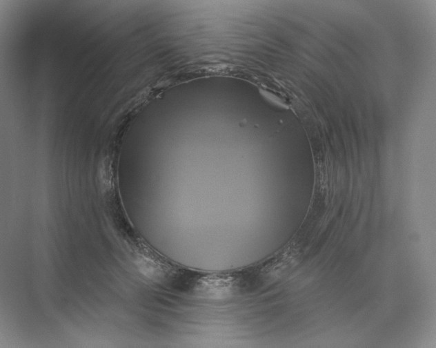 X0000075900606200609291734