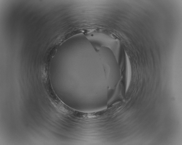 X0000075900607200609291734