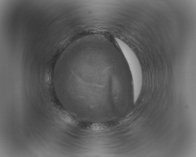 X0000075900608200609291734