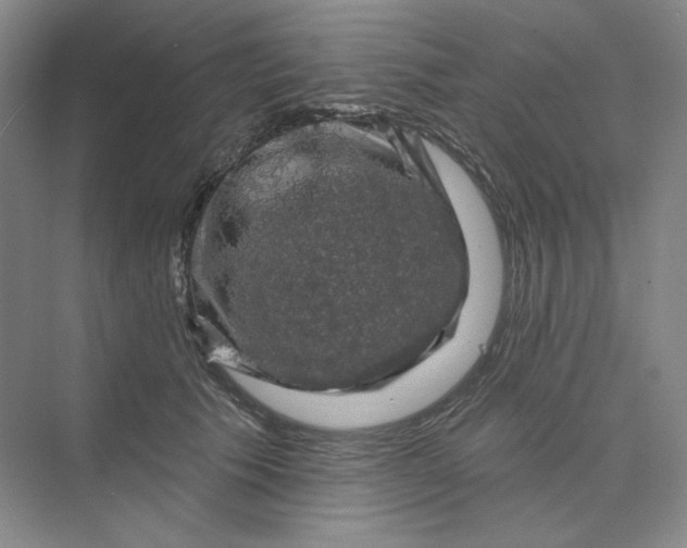 X0000075900609200609291734