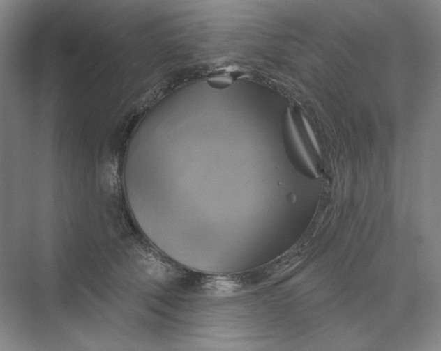 X0000075900610200609291734