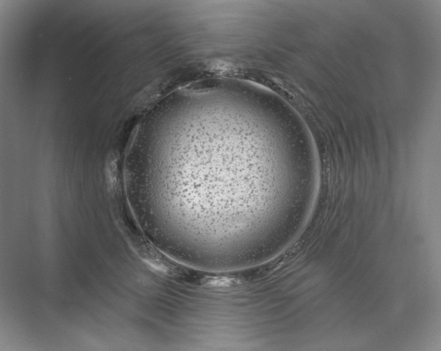 X0000075900611200609291734