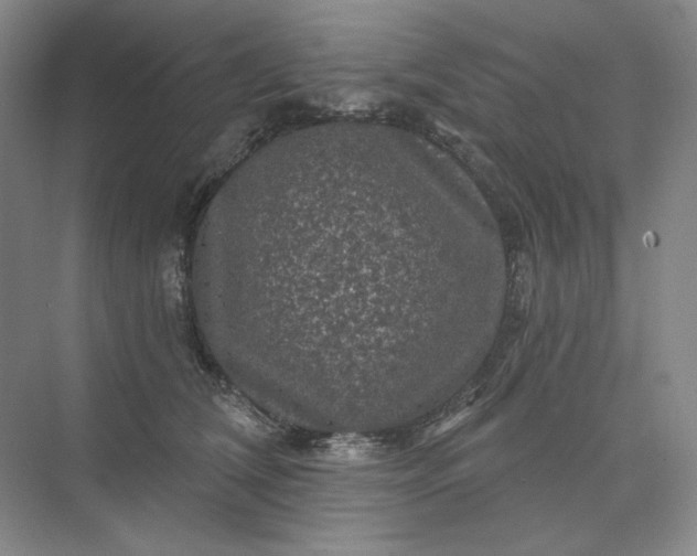 X0000075900612200609291734