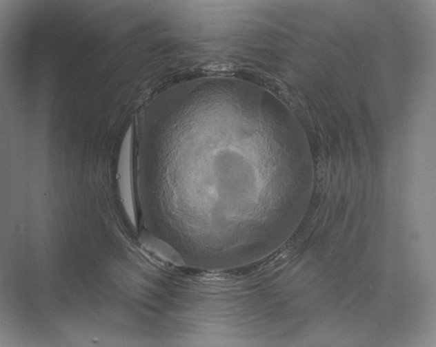 X0000075900614200609291733