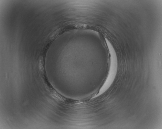 X0000075900616200609291733