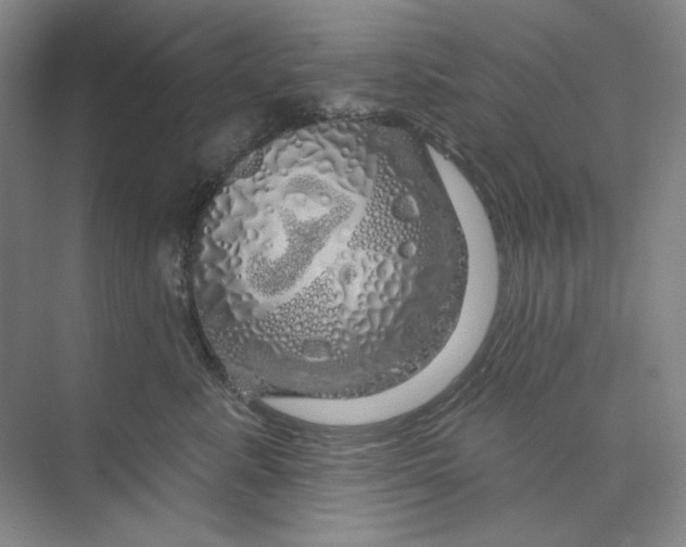 X0000075900619200609291733