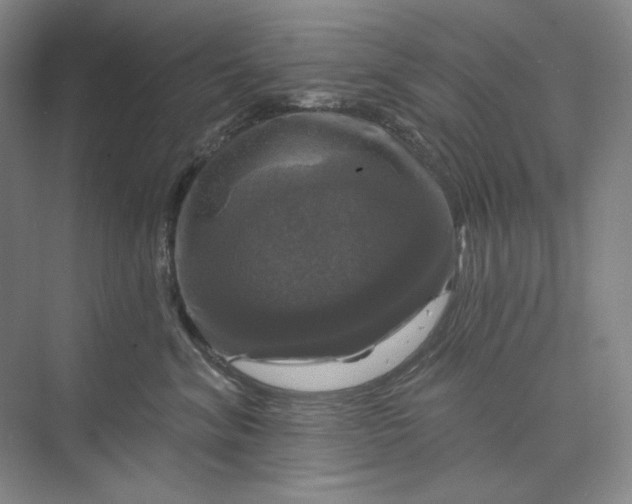 X0000075900620200609291733