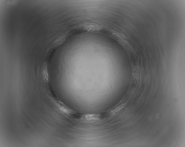 X0000075900622200609291733