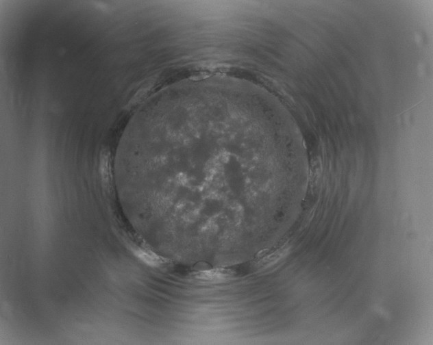 X0000075900623200609291733