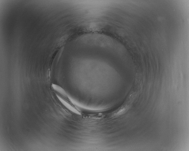 X0000075900624200609291733