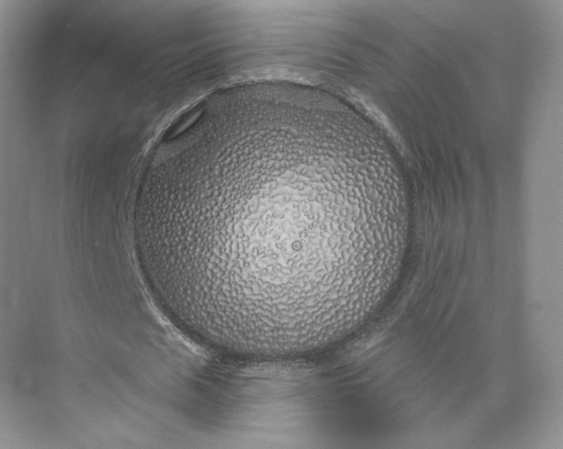 X0000075900625200609291733