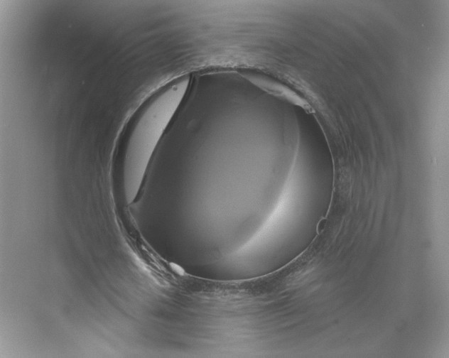 X0000075900626200609291733