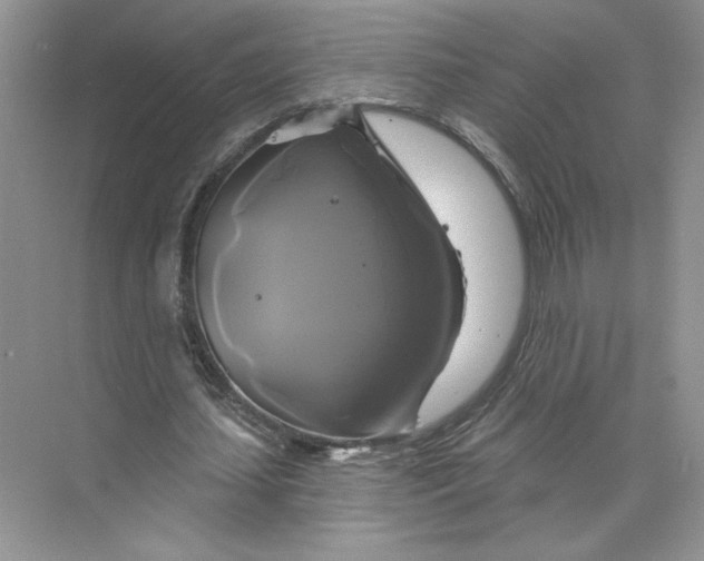 X0000075900627200609291733