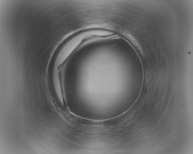 X0000075900628200609291733