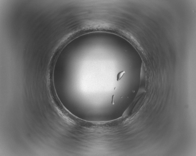 X0000075900629200609291733