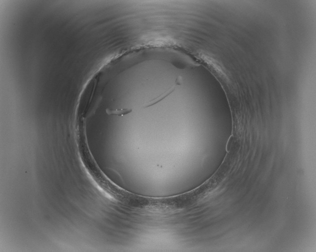 X0000075900630200609291733