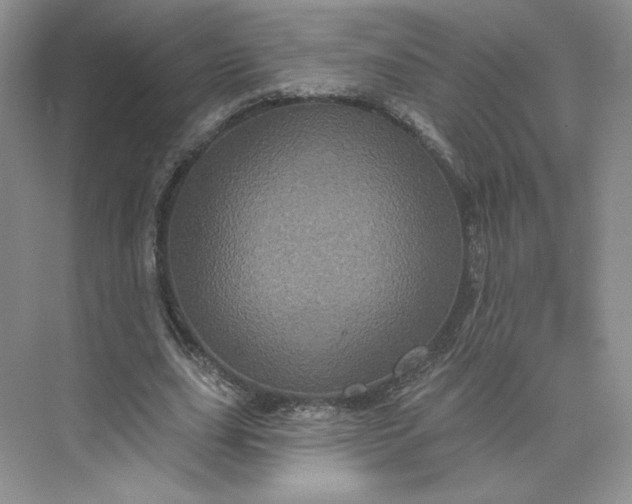 X0000075900631200609291733