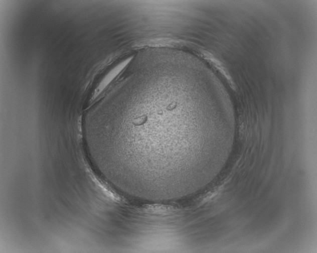 X0000075900633200609291733