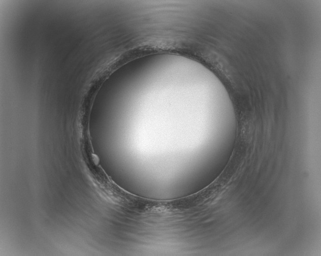 X0000075900635200609291733