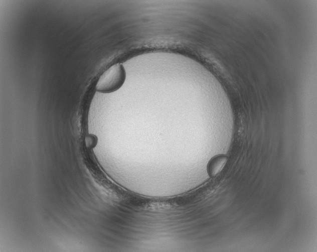 X0000075900636200609291733