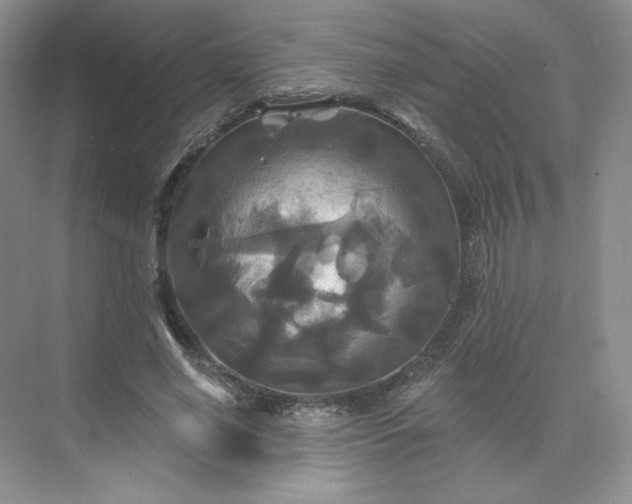 X0000075900638200609291733