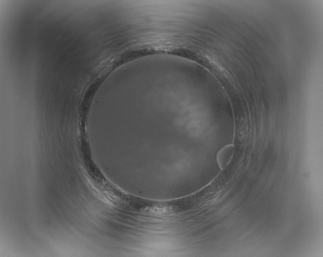 X0000075900639200609291733