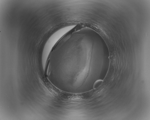 X0000075900643200609291733