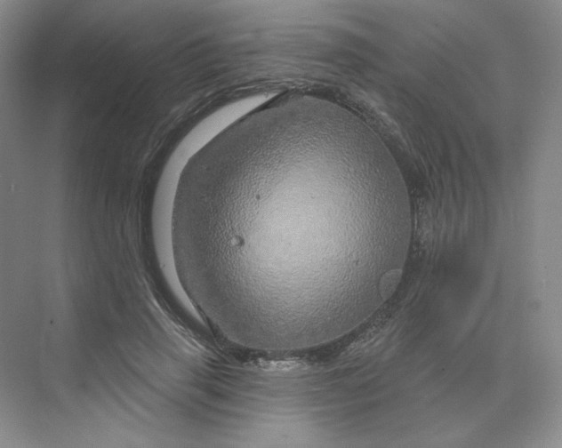 X0000075900645200609291733