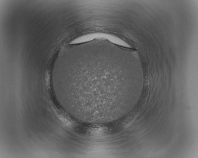 X0000075900646200609291733