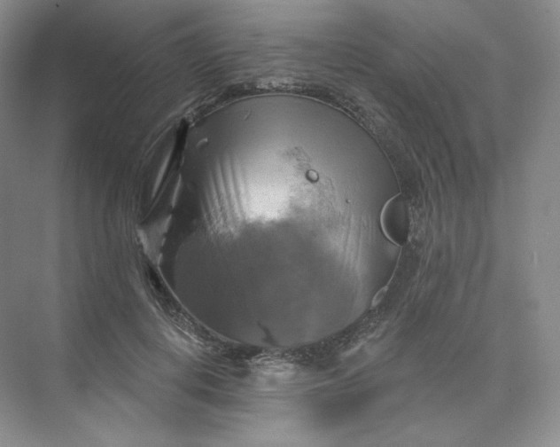 X0000075900648200609291733