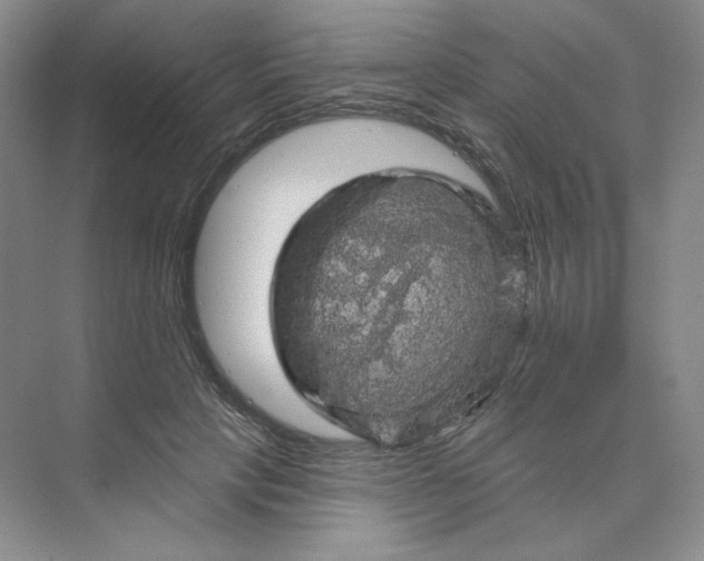 X0000075900649200609291733