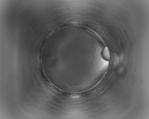 X0000075900651200609291733