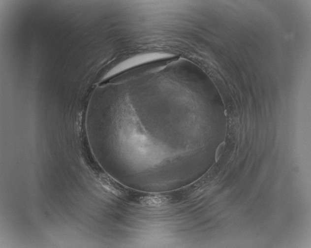 X0000075900652200609291733